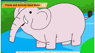 Plants and Animals Need Water | Environmental Studies Class 3