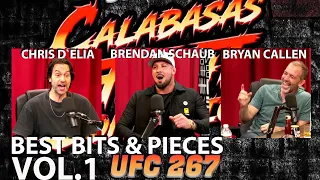 Best Of Calabasas Fight Companion UFC 267 - Chris D`Elia, Brendan Schaub & Bryan Callen Vol. 1