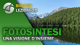 BIOLOGIA - Lezione 20 - Fotosintesi Clorofilliana | Introduzione