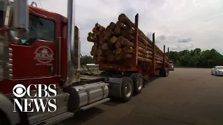 Surge in lumber prices puts dream of home ownership out of reach for many Americans