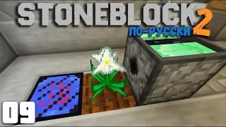 ВИЗЕР И СЕМЯ ЗВЕЗДЫ АДА | #09 | STONEBLOCK 2