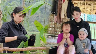 Single mother: Picking Giang leaves to sell - A mother's love for her beloved children