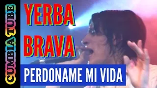 Yerba Brava - Perdoname mi Vida
