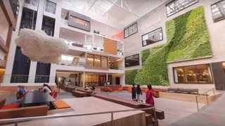 Working at Airbnb | The Way In Airbnb | LinkedIn 360 Video