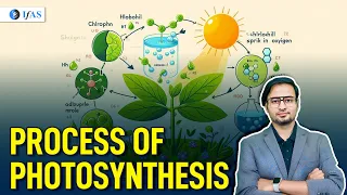 Process of Photosynthesis | Target CSIR NET Life Science June 2024 | IFAS