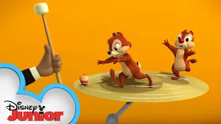 Musical Bowls of Nuts | Chip 'N Dale's Nutty Tales | Disney Junior