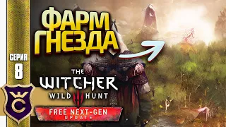 ФАРМ ГНЁЗД ГУЛЕЙ ЕЩЁ РАБОТАЕТ! The Witcher 3 Wild Hunt Next Gen Update Прохождение #8