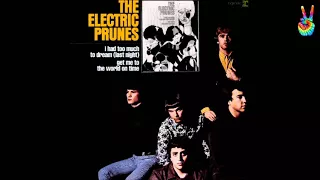 THE ELECTRIC PRUNES * I Had Too Much To Dream       HQ 1967