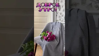 Доброе утро! С новым днём!