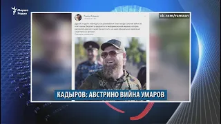 Кадыровн бехкбаккхар, Кремло бойъу Европера диссиденташ