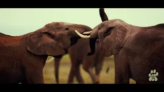 Enasoit Camp, Laikipia, Kenya