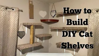 DIY Wall Mounted Cat Shelves