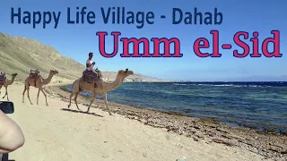 Happy Life Village Umm el Sid Dive Site Dahab