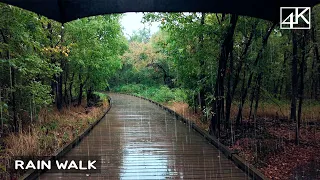 Relaxing Walk in the Rain - Umbrella ASMR Sounds for Sleeping - Calm White Noise