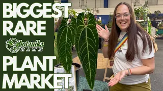 Biggest Rare Plant Market: Botanika Hamm plus HAUL | Plant with Roos