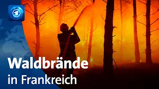 Hitzewelle in Europa: Waldbrände bedrohen Mensch und Natur