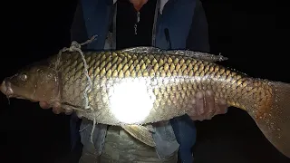 24 mart 2023. Baliq ovu Kur cayi. Carp fishing . Angeln. Рыбалка 2023