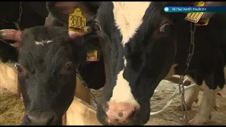 25.07.2018 Поддержка сельского хозяйства в Вельском районе