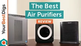 Best Air Purifier Review