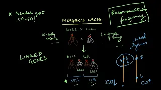 Gene Mapping | Principles of Inheritance | Biology | Khan Academy