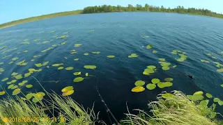 Рыбалка в Карелии 25 08 2018 (ABM Raptor)