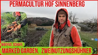 Permakultur Innovation, Versuchsgarten mit Mehrjährigen Kulturen, Tiere integrieren | Hof Sinnenberg