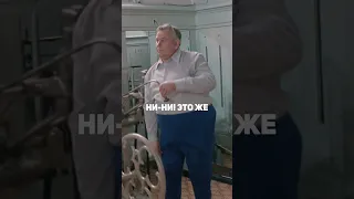 Надеюсь, это приятно #любовьиголуби