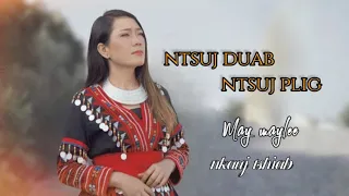 NTSUJ DUAB NTSUJ PLIG -May maylee [Audio]New Song