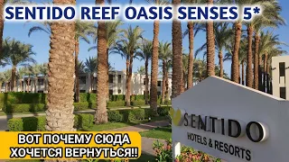 Египет 2021 отель Sentido Reef Oasis Senses 5 *Шарм