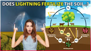 Why LIGHTNING is good for AGRICULTURE: Does Lightning Fertilize Soil?