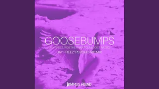 Goosebumps (Jay Freez' Psycho VIP Mix)