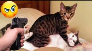 BEST FUNNIEST CATS AND DOGS VIDEOS 2024 😂🤣 FUNNY ANIMAL VIDEOS (PART-5)