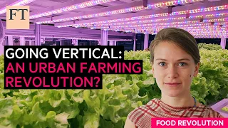 Vertical farming: a future way to feed urban populations? | FT Food Revolution