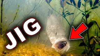 Underwater Bass Strikes!!! Jigs and Swimbaits - Crazy Footage!!!