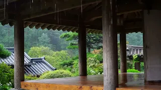 Raining Sounds of the Korean Hanok House on the Roof top, White Noise ASMR