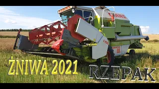 ŻNIWA 2021 akcja - RZEPAK CLAAS DOMINATOR 98