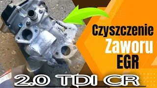 Audi A6/A4/A5/Q5 B4/C7 CGLC - Czyszczenie Zaworu EGR/Cleaning the EGR Valve