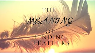FINDING FEATHERS! ✨😇 The Symbolic Meaning of Finding Feathers & Their Colors  ✨😇