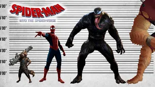 Spider Verse Size Comparison | Biggest Characters of Spider Man | Satisfying Video