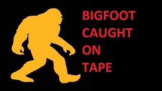 BIGFOOT SIGHTING CAUGHT ON TAPE - A Documentary