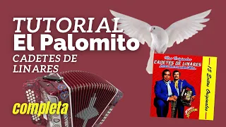 El palomito Cadetes de linares tutorial para acordeón de sol