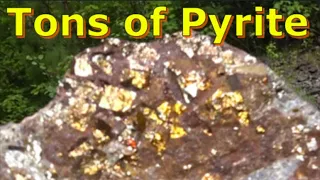 Tons of Pyrite in a Gold Mine. Много пирита в золотой шахте