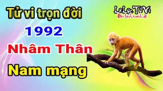 | Lê Lực Tử Vi Tử vi trọn đời tuổi Nhâm Thân 1992 Nam mạng chính xác nhất