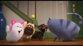 Gidget learn how to be a Cat | Secret Life of pets 2