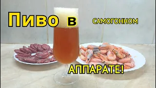 Варим пиво в САМОГОННОМ АППАРАТЕ. Монастырский светлый эль.