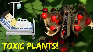 8 Most TOXIC PLANTS On Earth