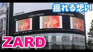 ZARD　揺れる想い　坂井泉水　ZARD “What a beautiful memory 2007”　ザード 30周年記念　zard 坂井泉水　YUNIKA VISION zard in Tokyo