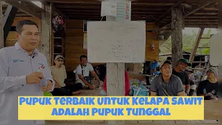 Penjelasan Pupuk Tunggal Adalah Pupuk Terbaik Untuk Kelapa Sawit