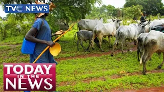 Herdsmen Destroy Former PDP Deputy National Chairman's Cassava Farm in Ondo
