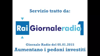 Rai Radio Giornale 1 - Aumentano i pedone investiti - PEDONE SICURO ®